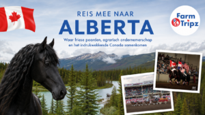 Friese Paardenreis British Columbia & Alberta – Canada