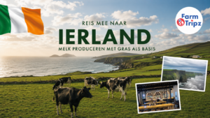 Reis mee naar Ierland