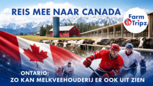 Canada: Boeren en melk in Ontario