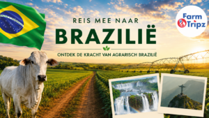 Ontdek de kracht van agrarisch Brazilië
