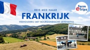 Frankrijk: Veehouderij met Bourgondische levensstijl