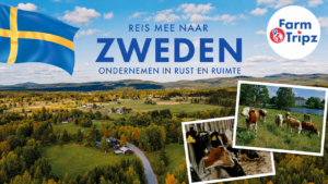 Reis meer naar agrarisch Zweden